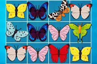 image bg King of Mahjong